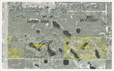 areal map of Wellspring of Gaia
