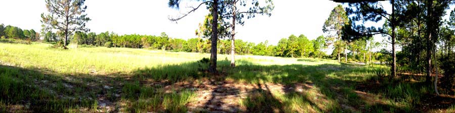 Photo Gallery of Wellspring of Gaia